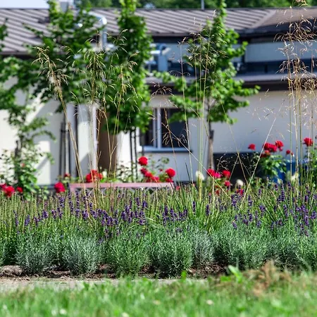 Mineral Draugyste Station touristique Druskininkai