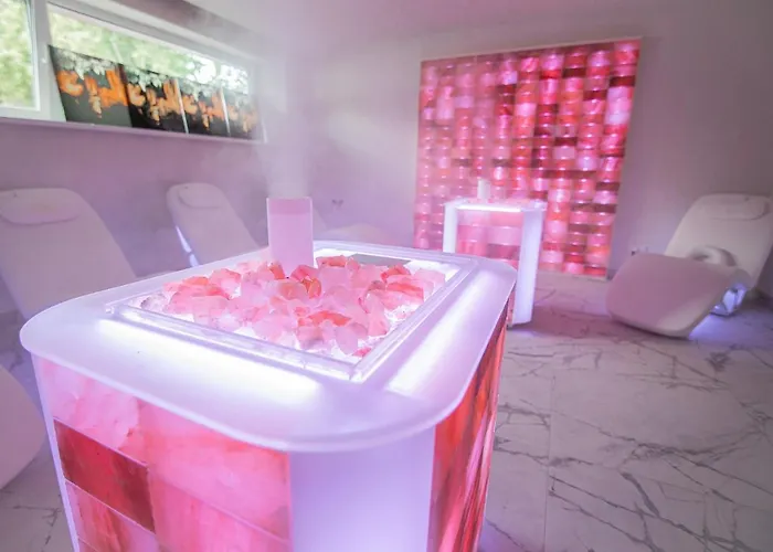 Mineral Draugystė * Druskininkai