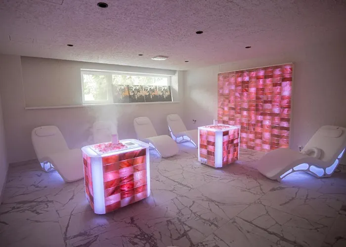 Mineral Draugystė * Druskininkai