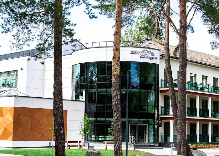 Mineral Draugystė *