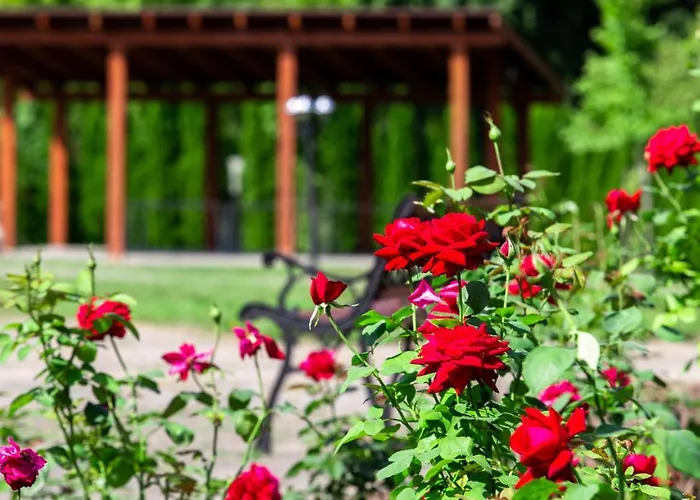 Mineral Draugystė Druskininkai