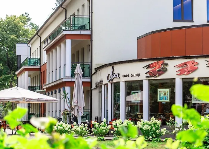 Mineral Draugystė *