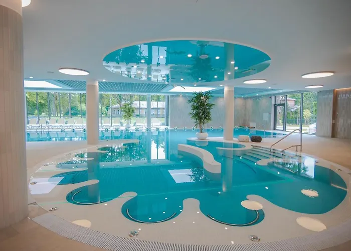 Mineral Draugystė *